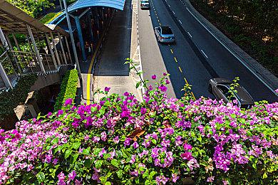 虚幻5新作《零号门》演示 探索古代以色列城市